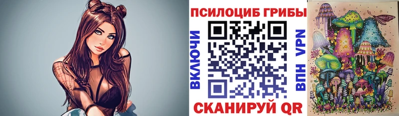 Псилоцибиновые грибы Psilocybine cubensis  Бологое 